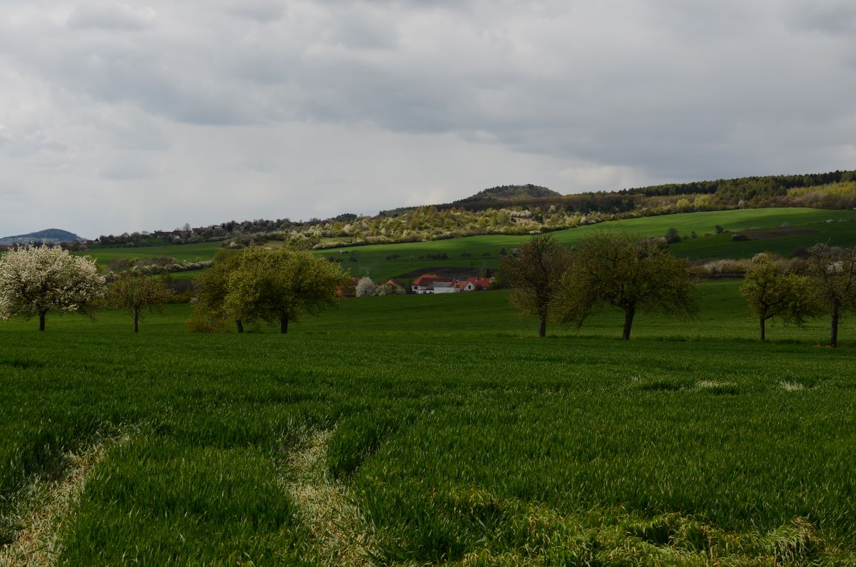 DSC_4375n.JPG