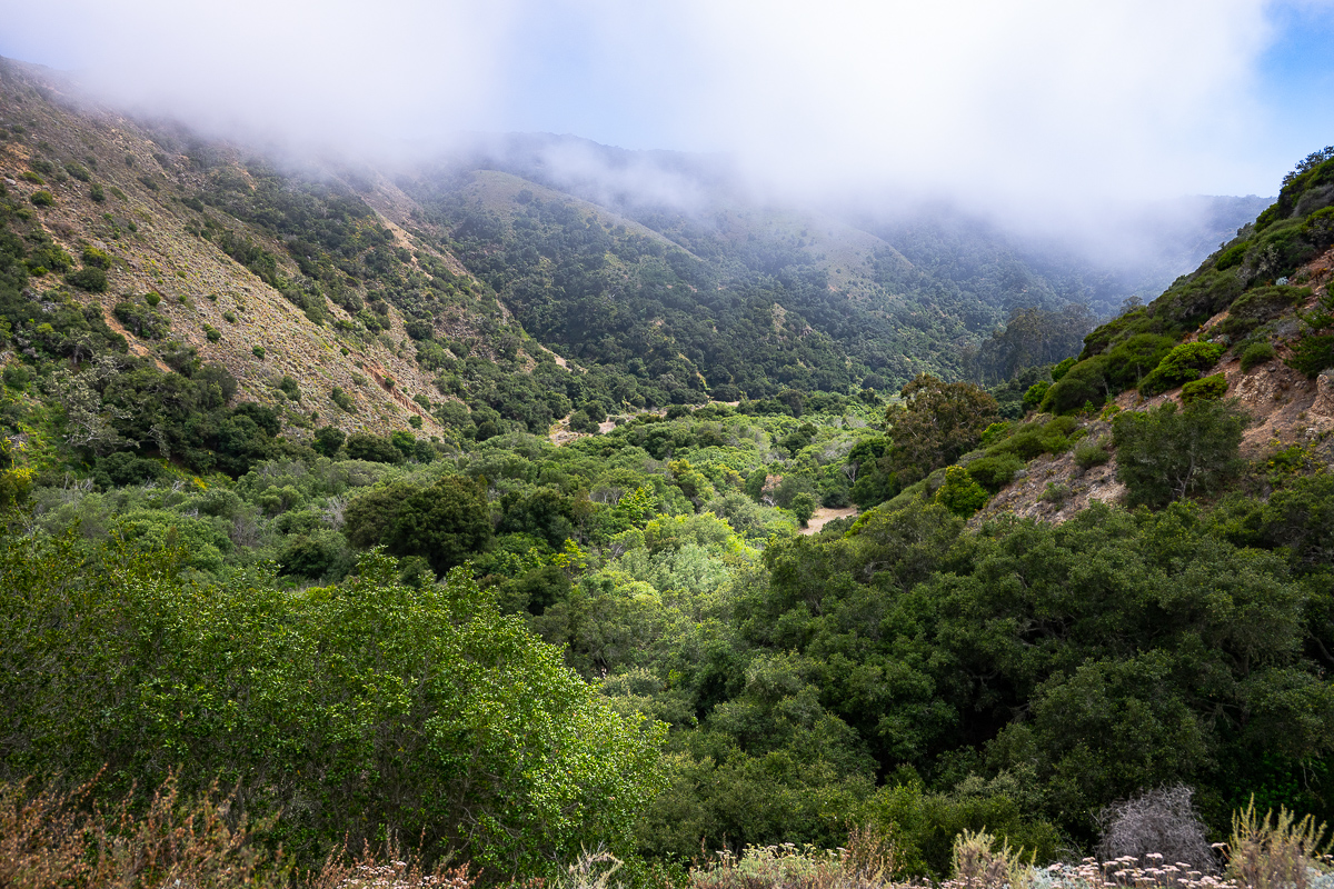 DSC_4388.jpg