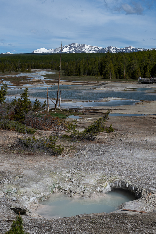 DSC_4391.jpg