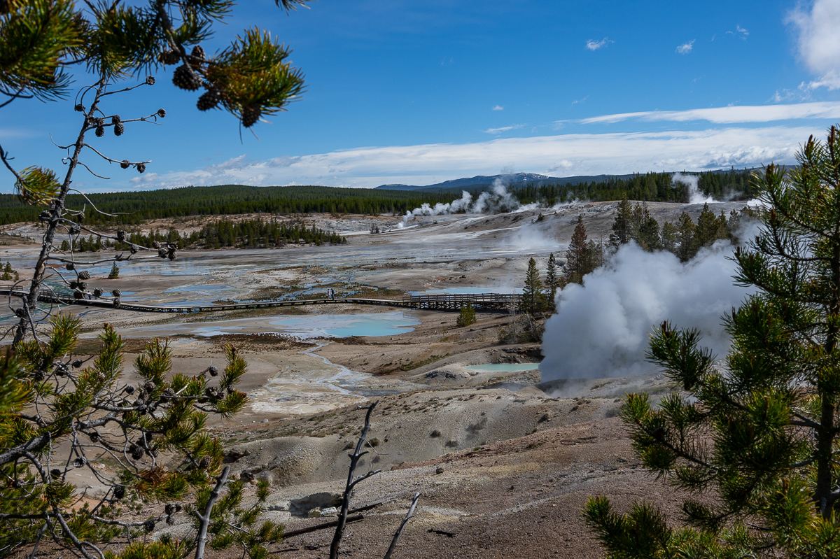 DSC_4393.jpg