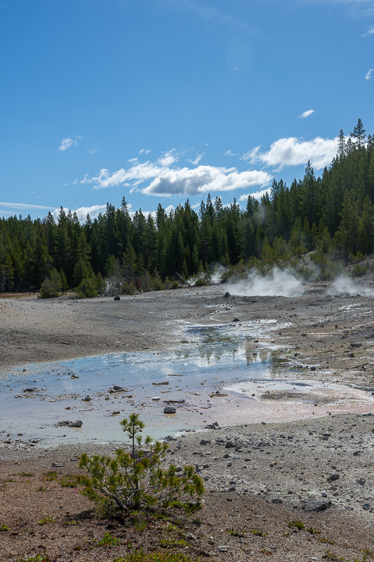 DSC_4395.jpg