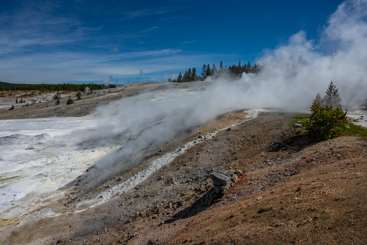 DSC_4399.jpg