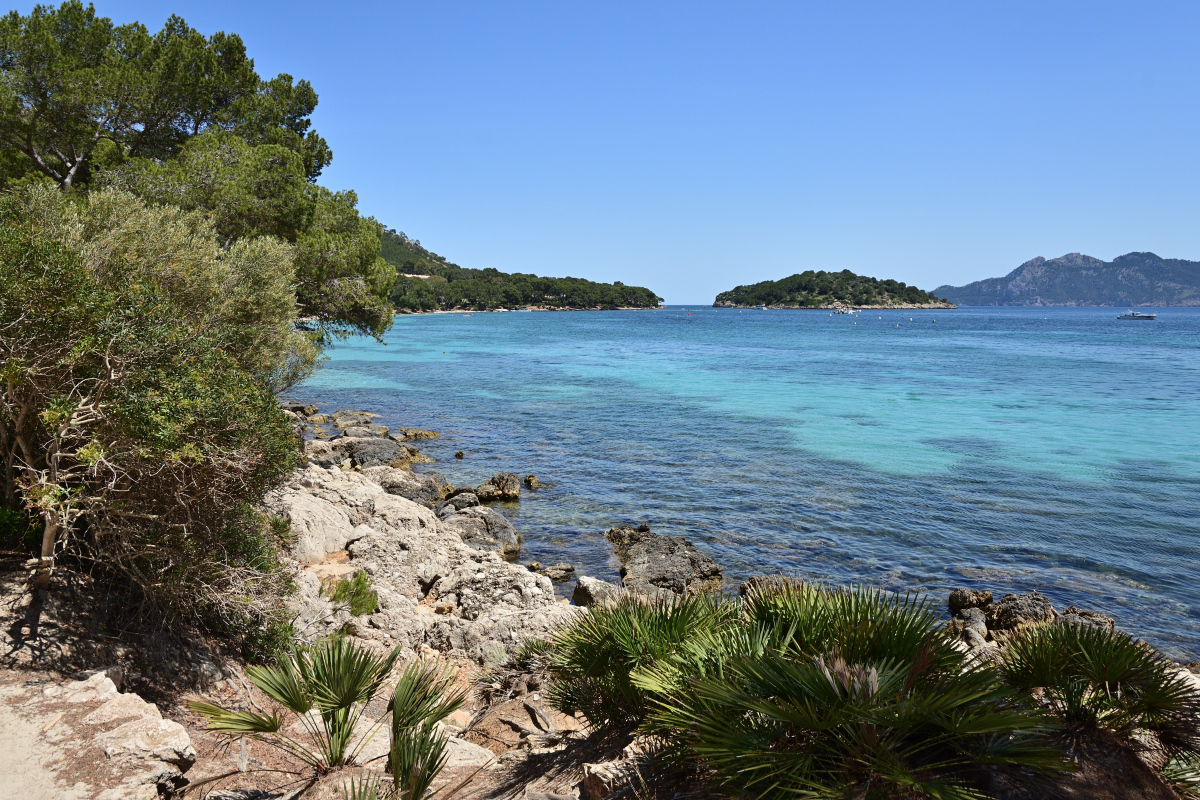 DSC_4402.JPG