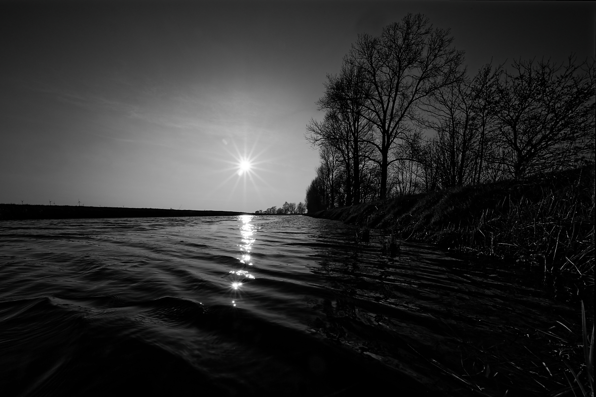 DSC_4405_1.jpg