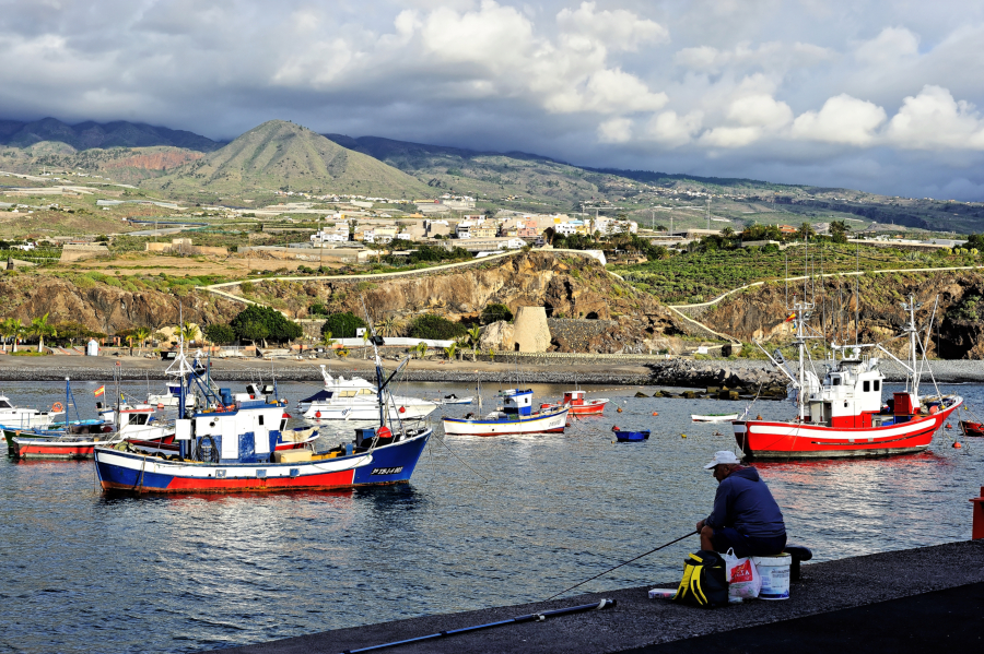 DSC_4414.jpg