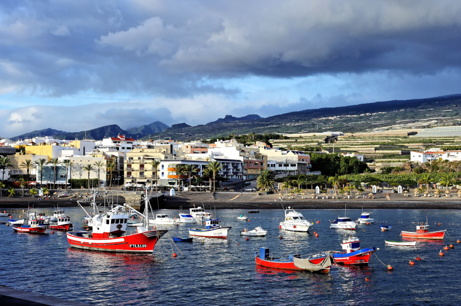DSC_4416.jpg