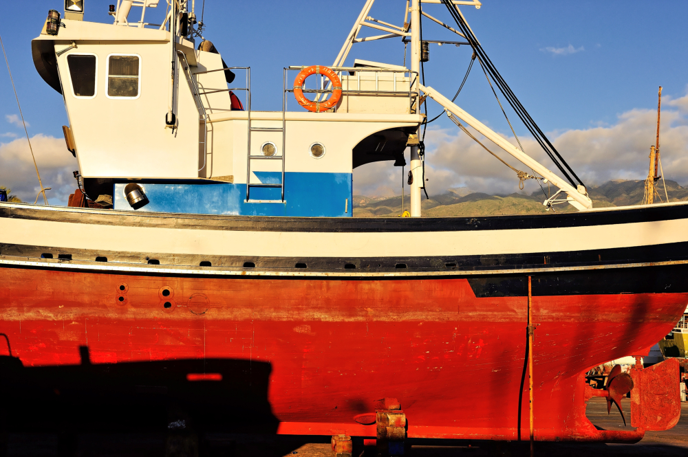 DSC_4440.jpg