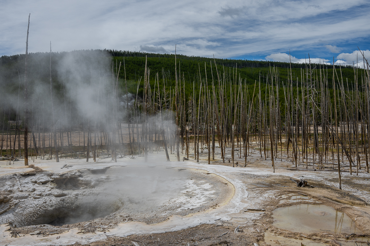 DSC_4440.jpg