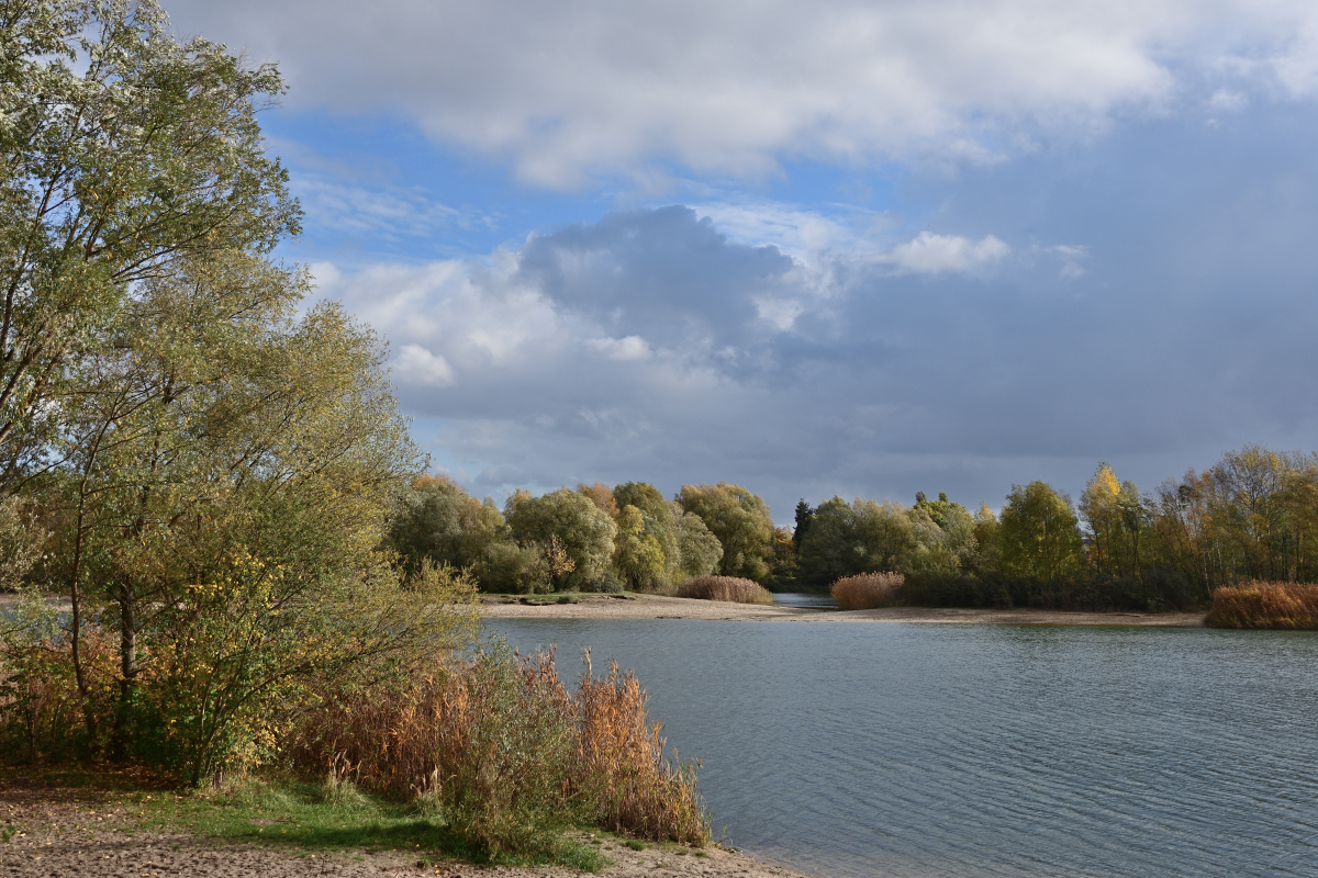 DSC_4442.JPG