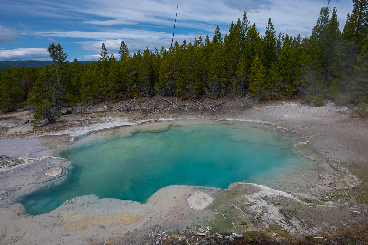 DSC_4443-Bearbeitet.jpg