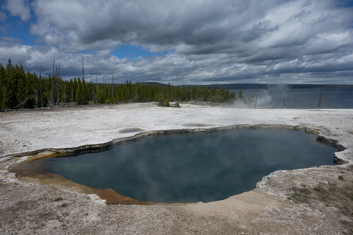 DSC_4461.jpg