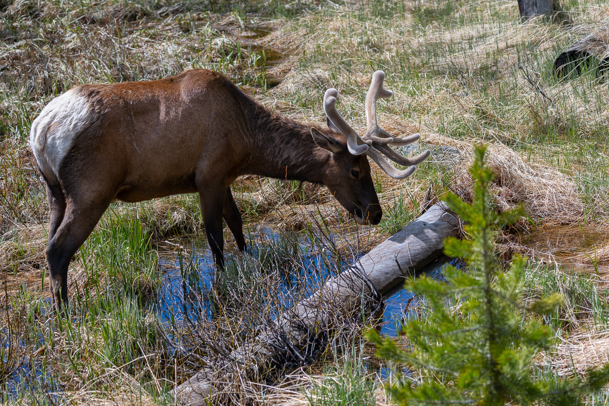 DSC_4506.jpg