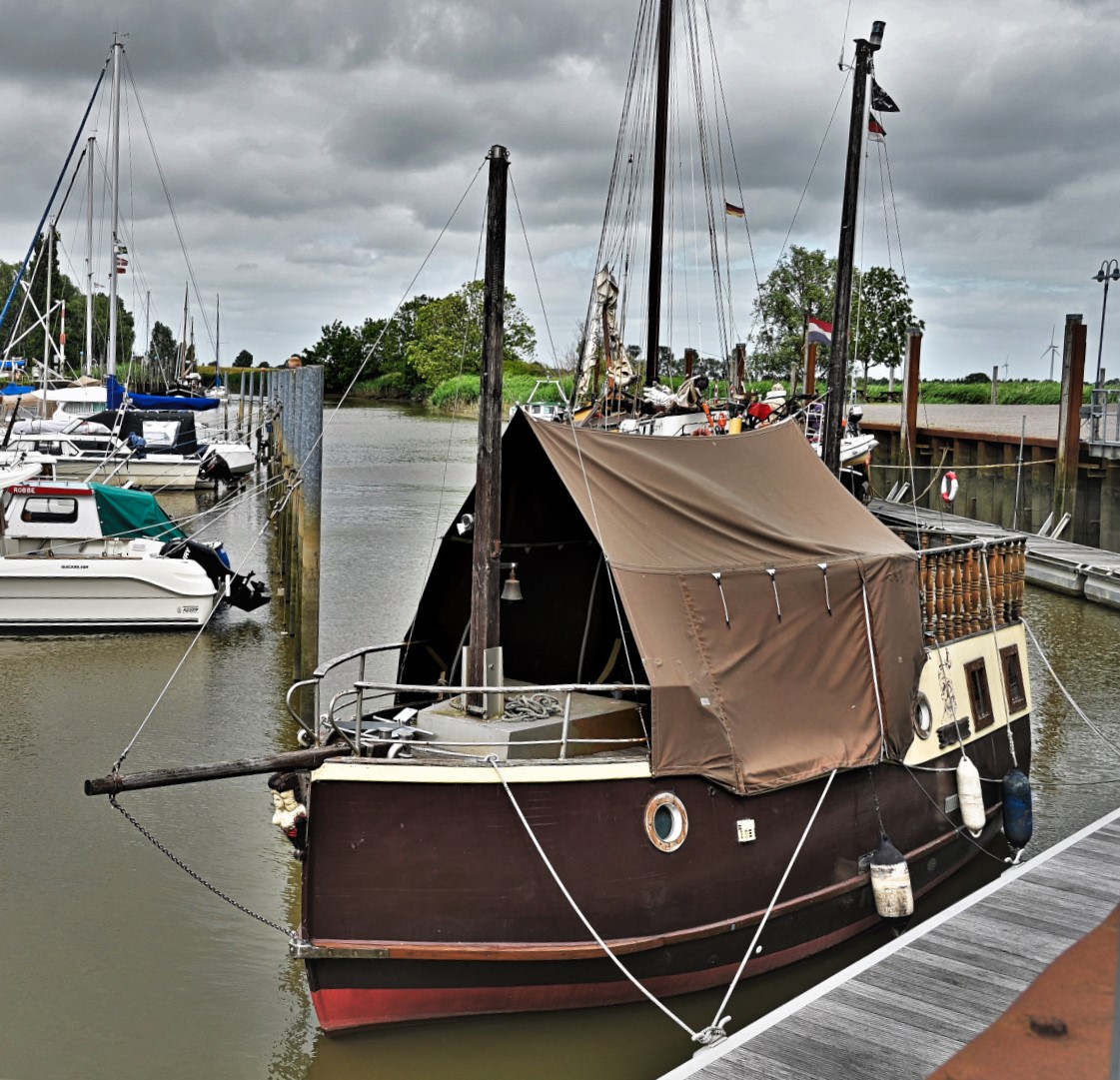 DSC_4526 .jpg