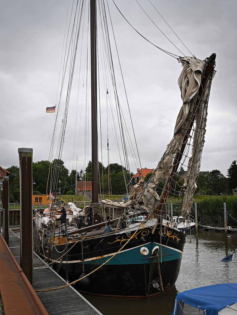 DSC_4532.jpg
