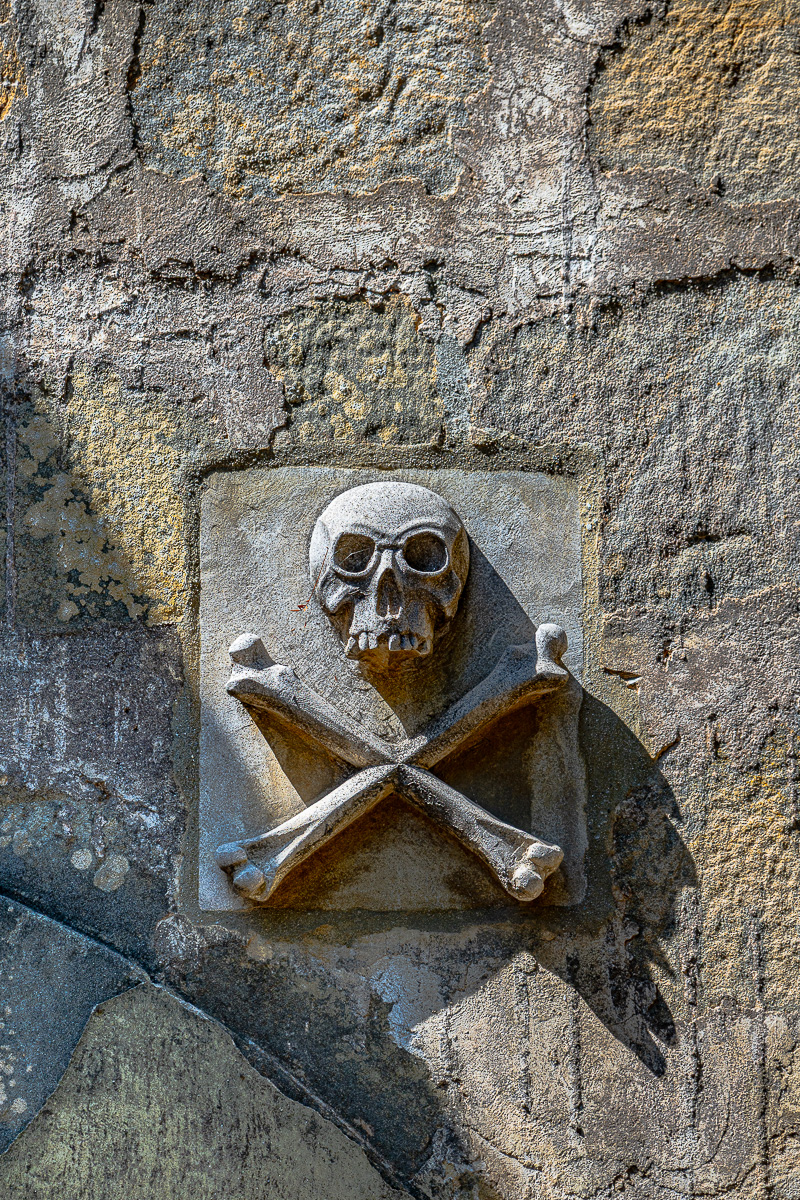 DSC_4536.jpg