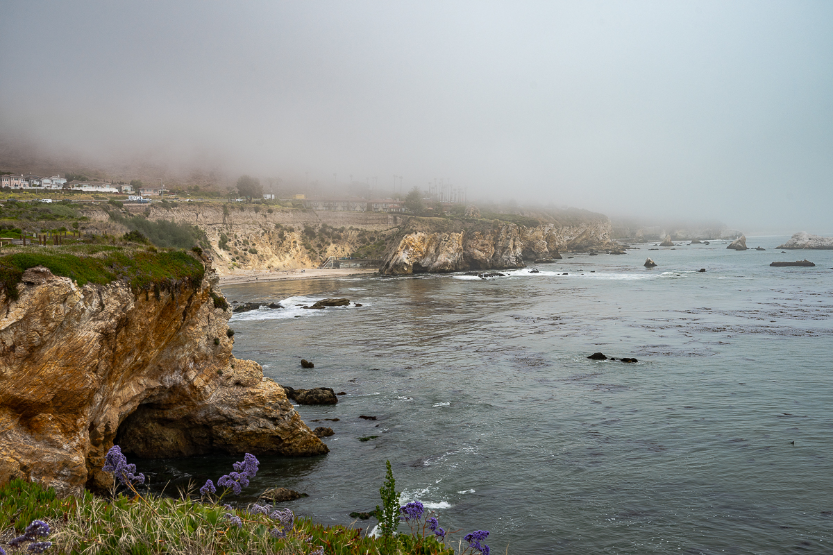 DSC_4548.jpg