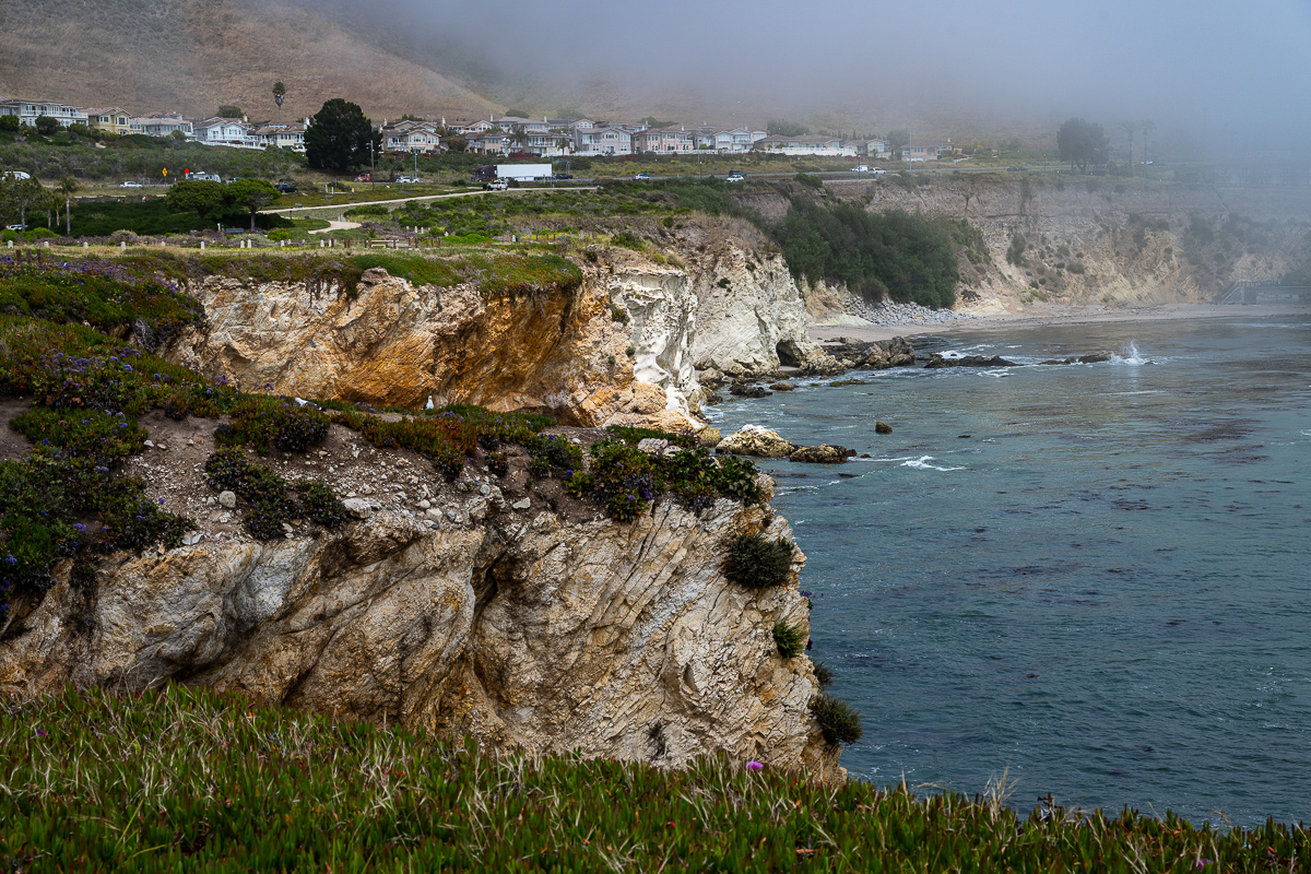 DSC_4553.jpg