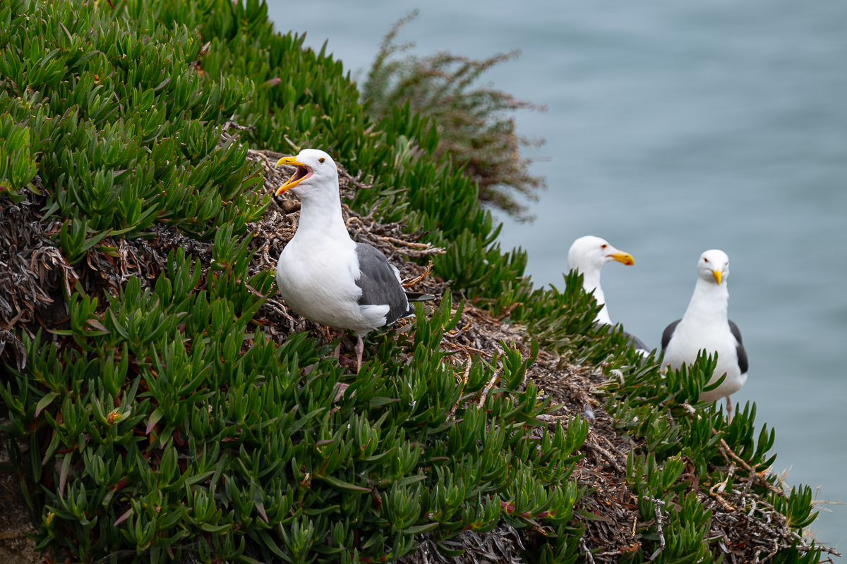 DSC_4555.jpg