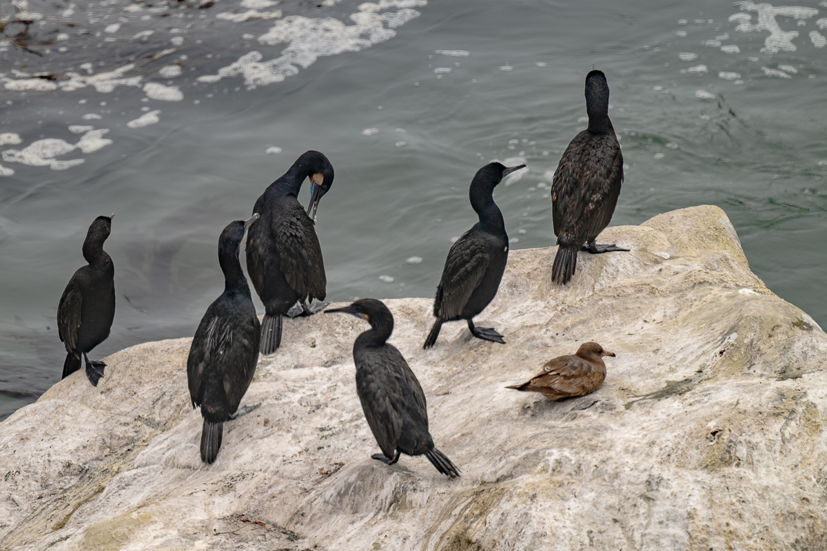 DSC_4560.jpg