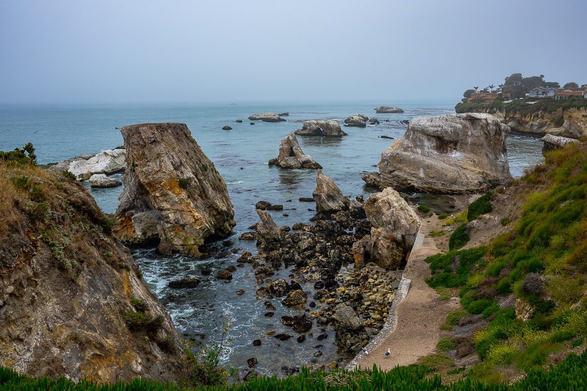 DSC_4564.jpg