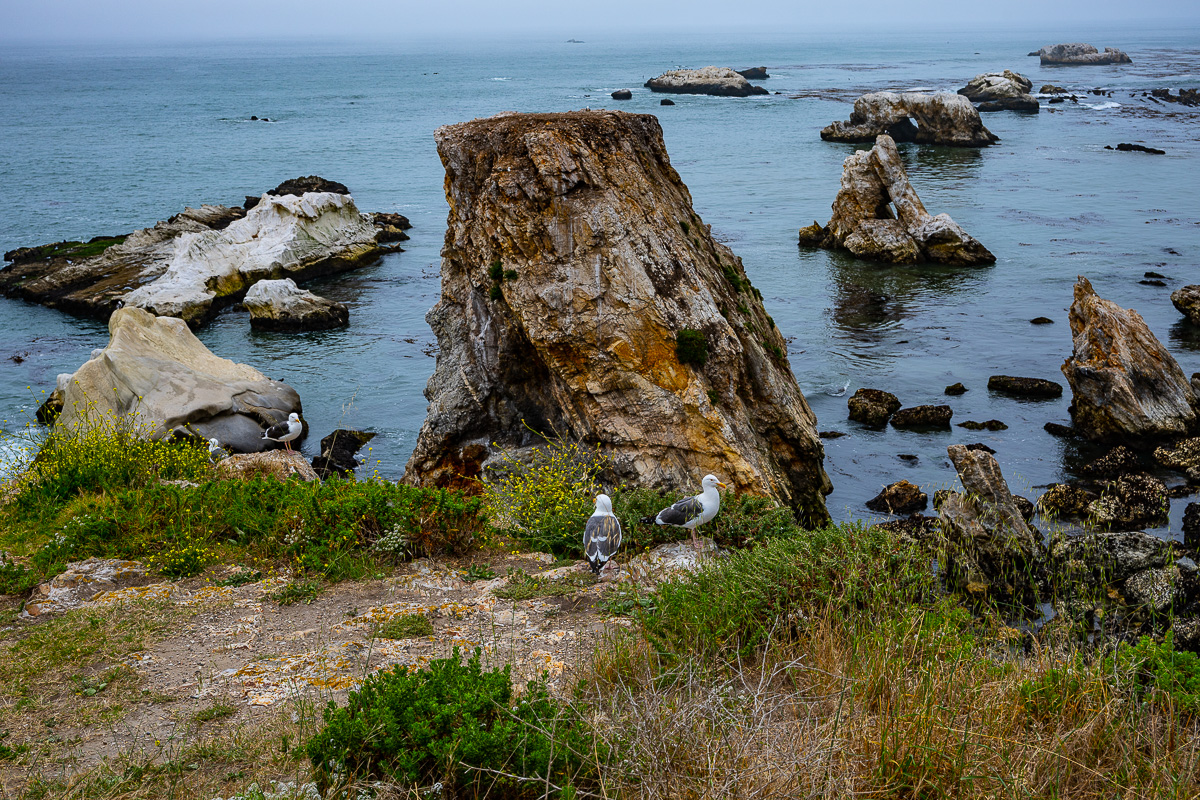 DSC_4566.jpg