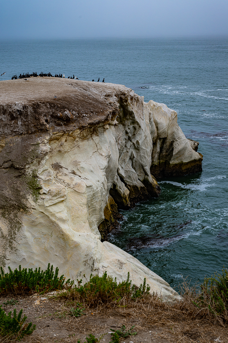 DSC_4567.jpg