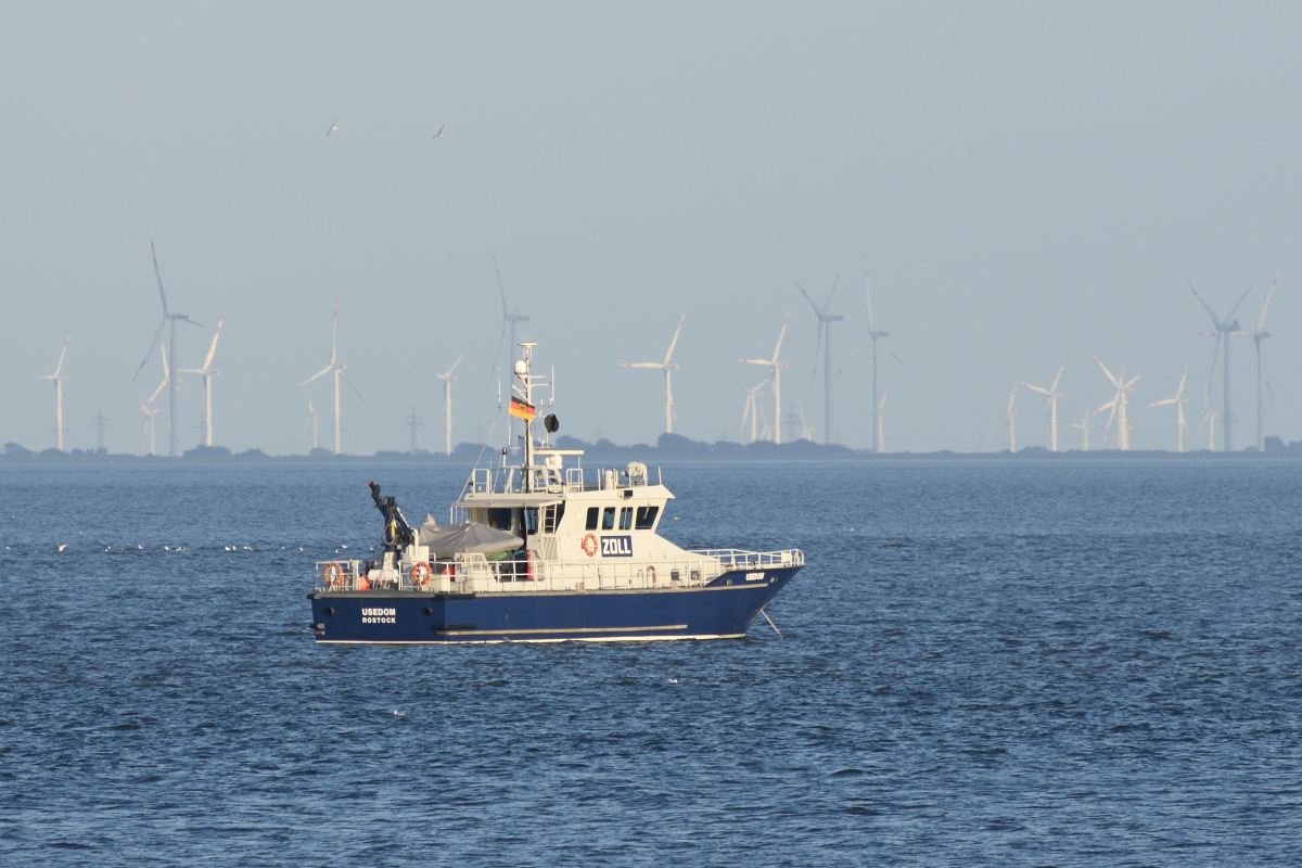 DSC_4572.JPG