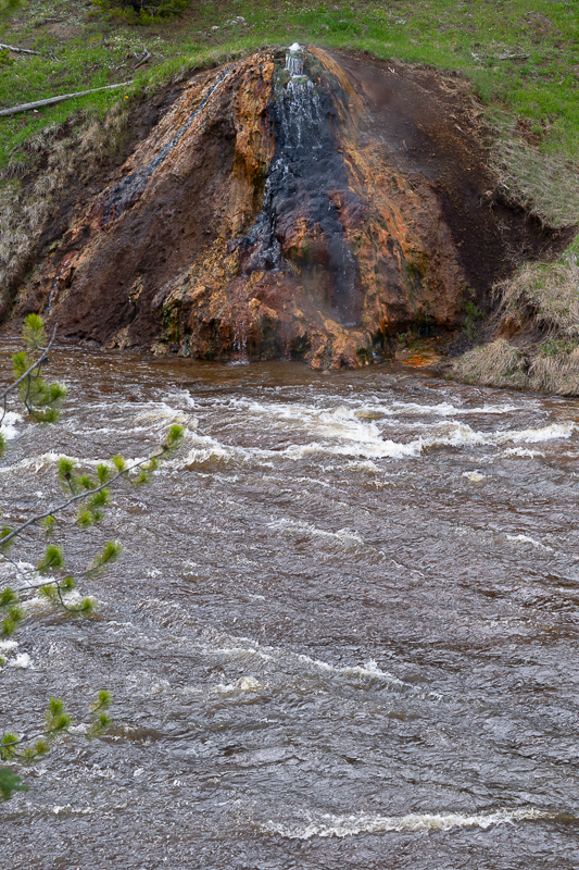 DSC_4572.jpg