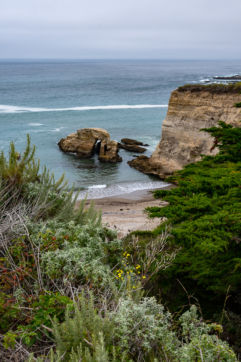 DSC_4575.jpg