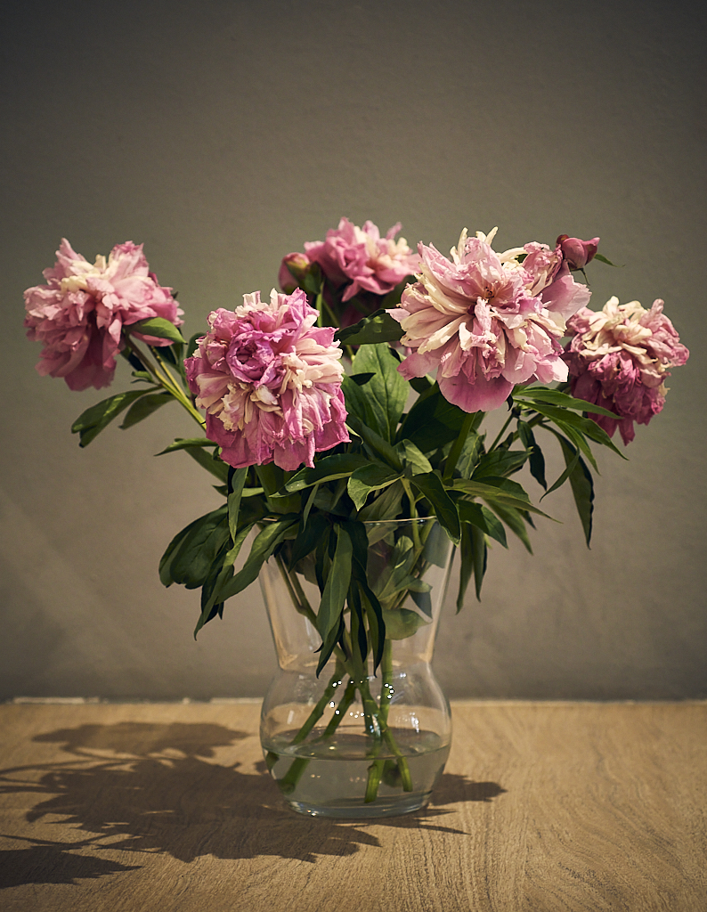 DSC_457527.Mai20.jpg