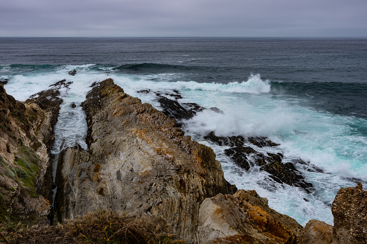 DSC_4587.jpg