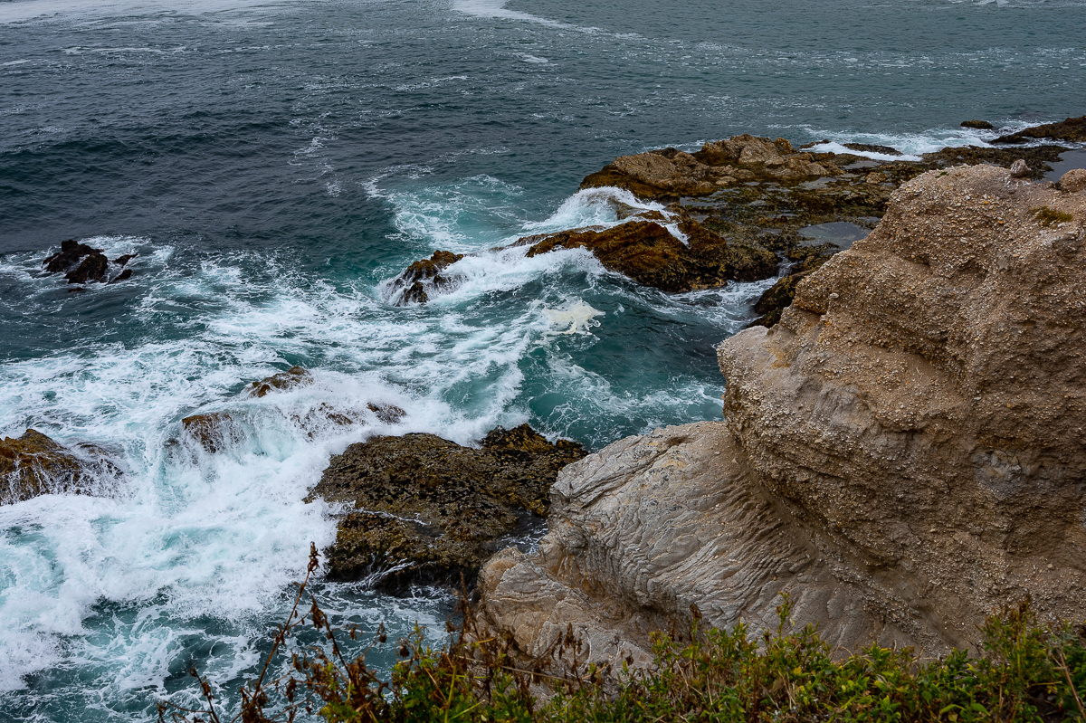 DSC_4602.jpg