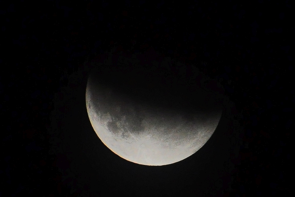 DSC_4621.jpg