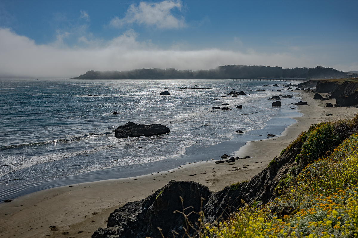 DSC_4626.jpg