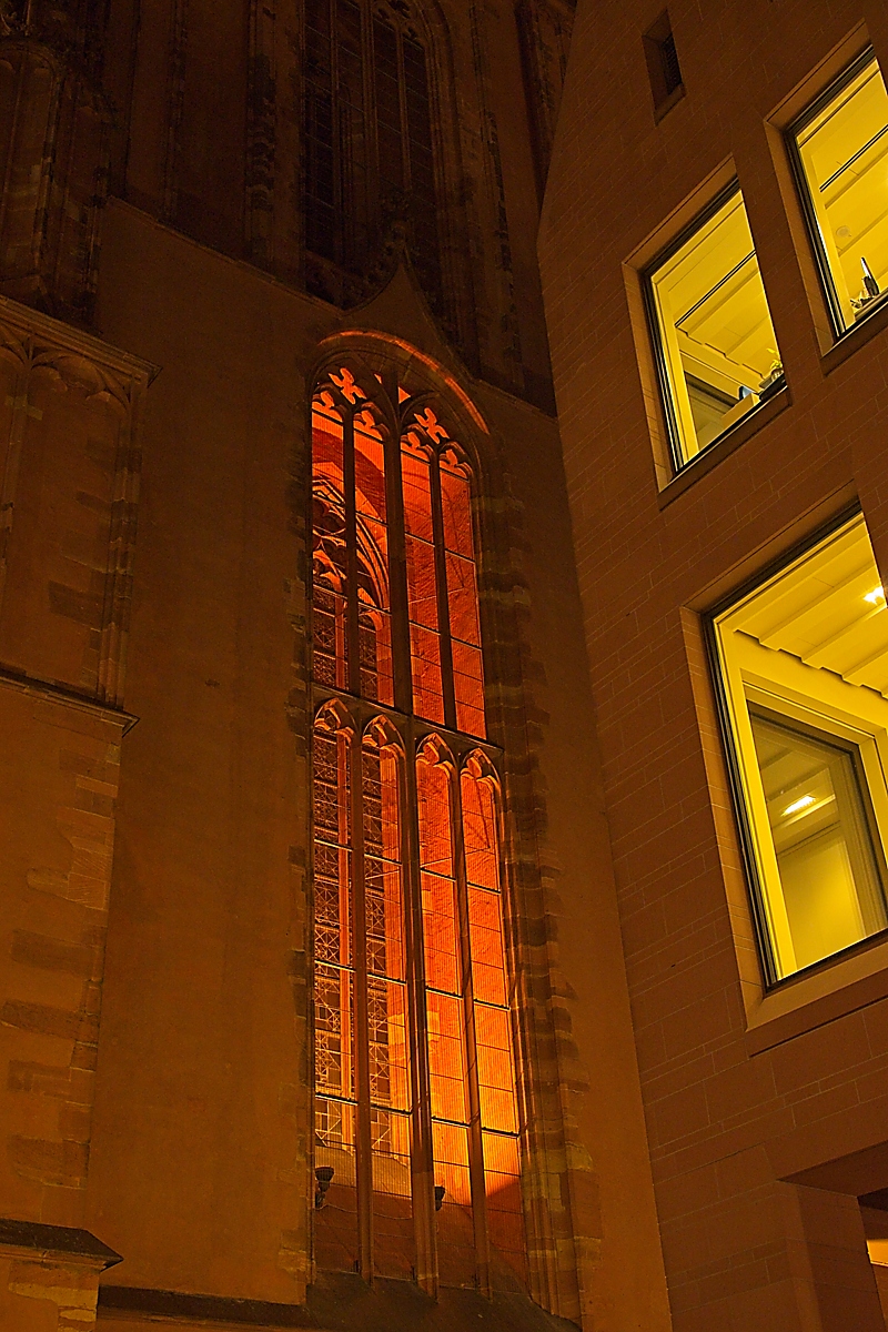 DSC_4631_NIKON Z 5_1200.jpg
