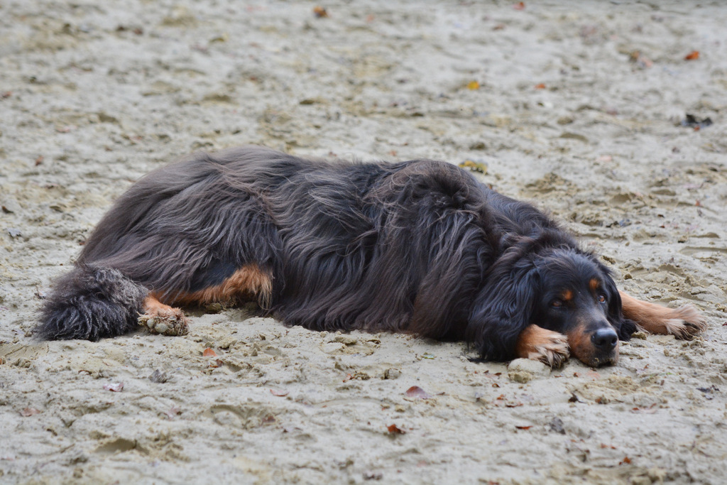 DSC_4632.jpg