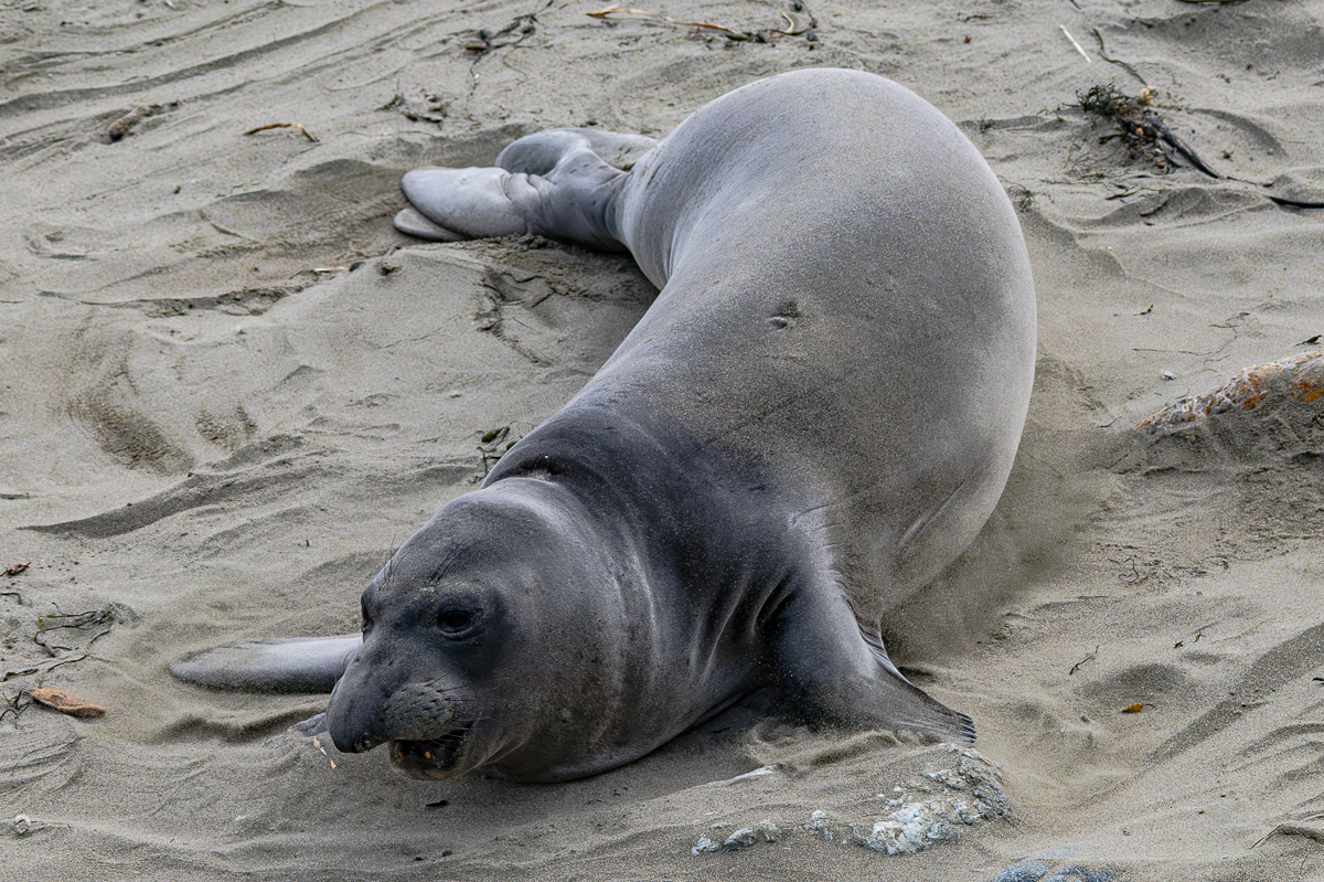 DSC_4645.jpg