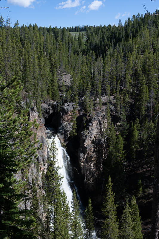 DSC_4659.jpg