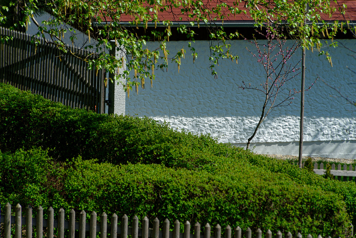 DSC_4664_DxO.jpg