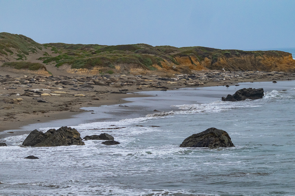 DSC_4697.jpg