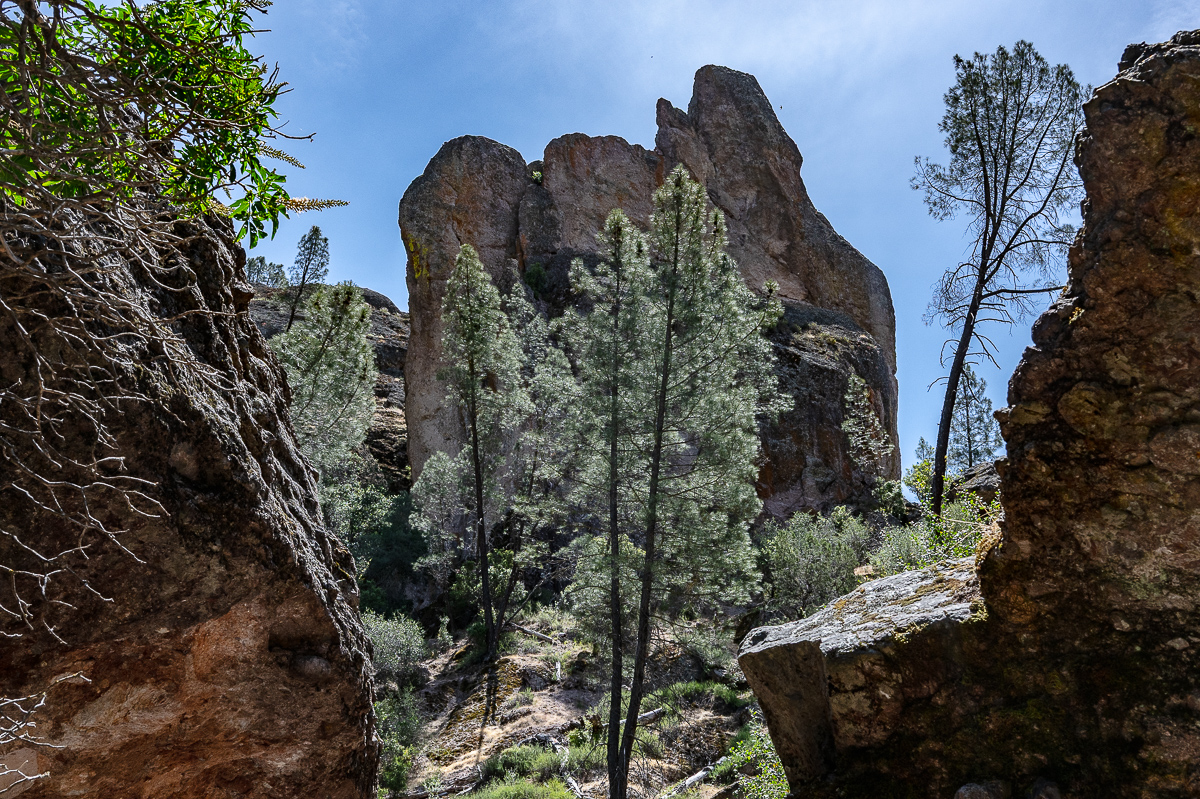 DSC_4724.jpg