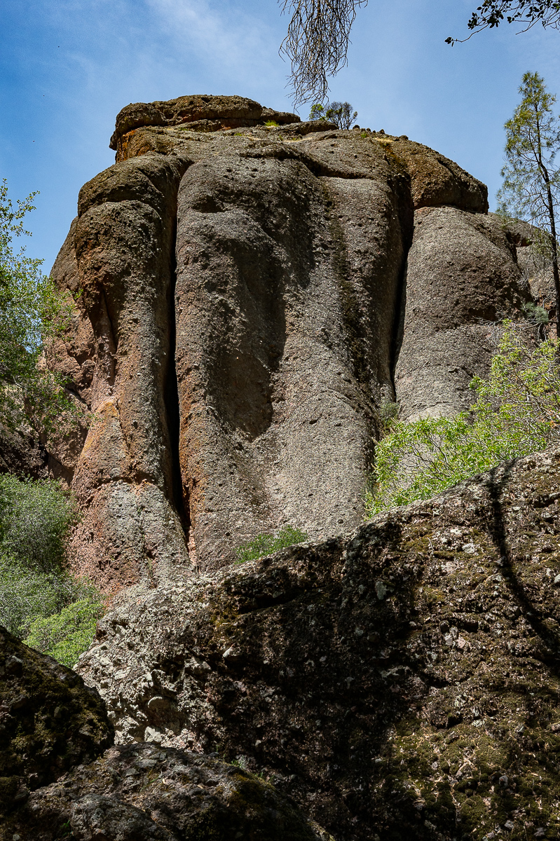 DSC_4728.jpg