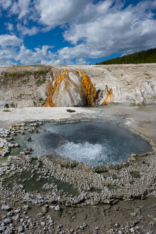 DSC_4737.jpg