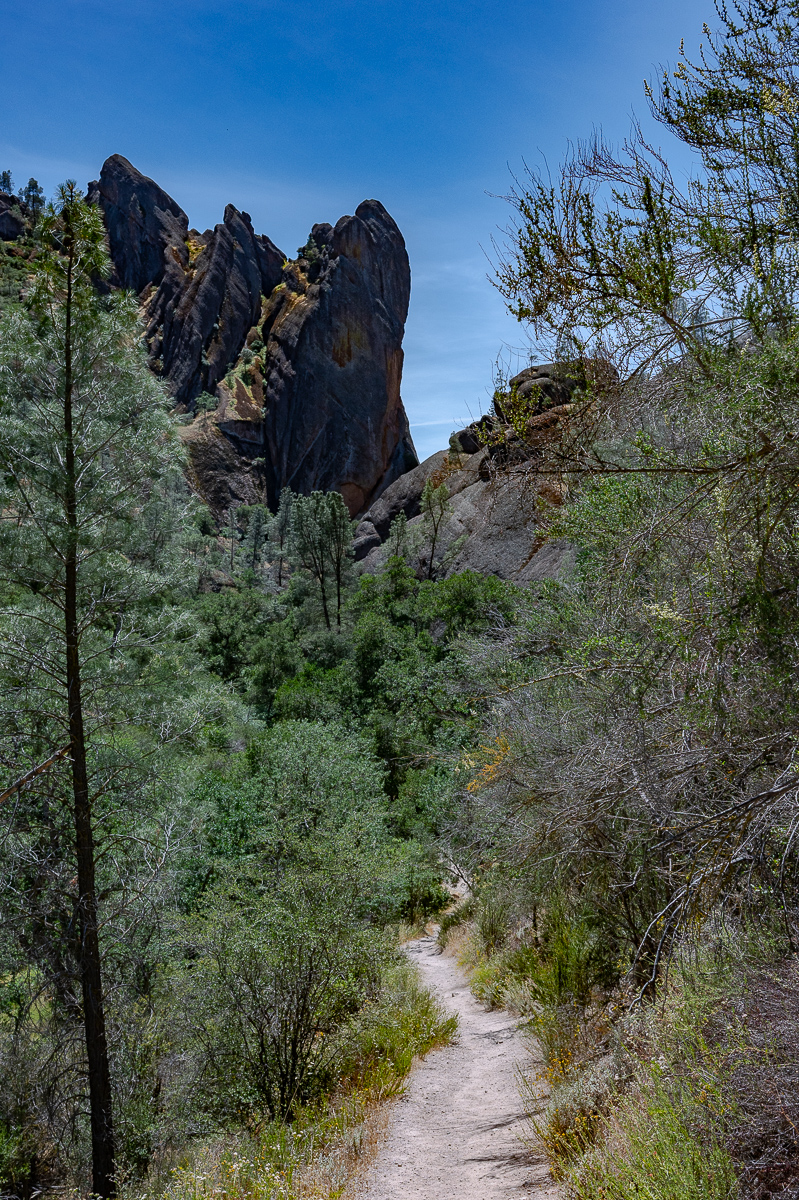DSC_4749.jpg