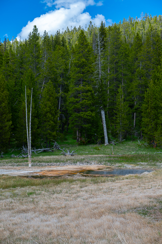 DSC_4752.jpg
