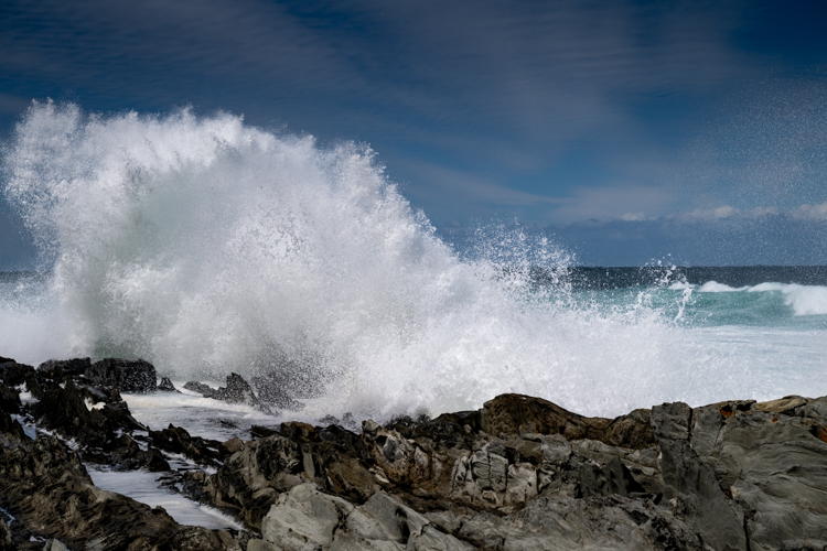 DSC_4752.jpg