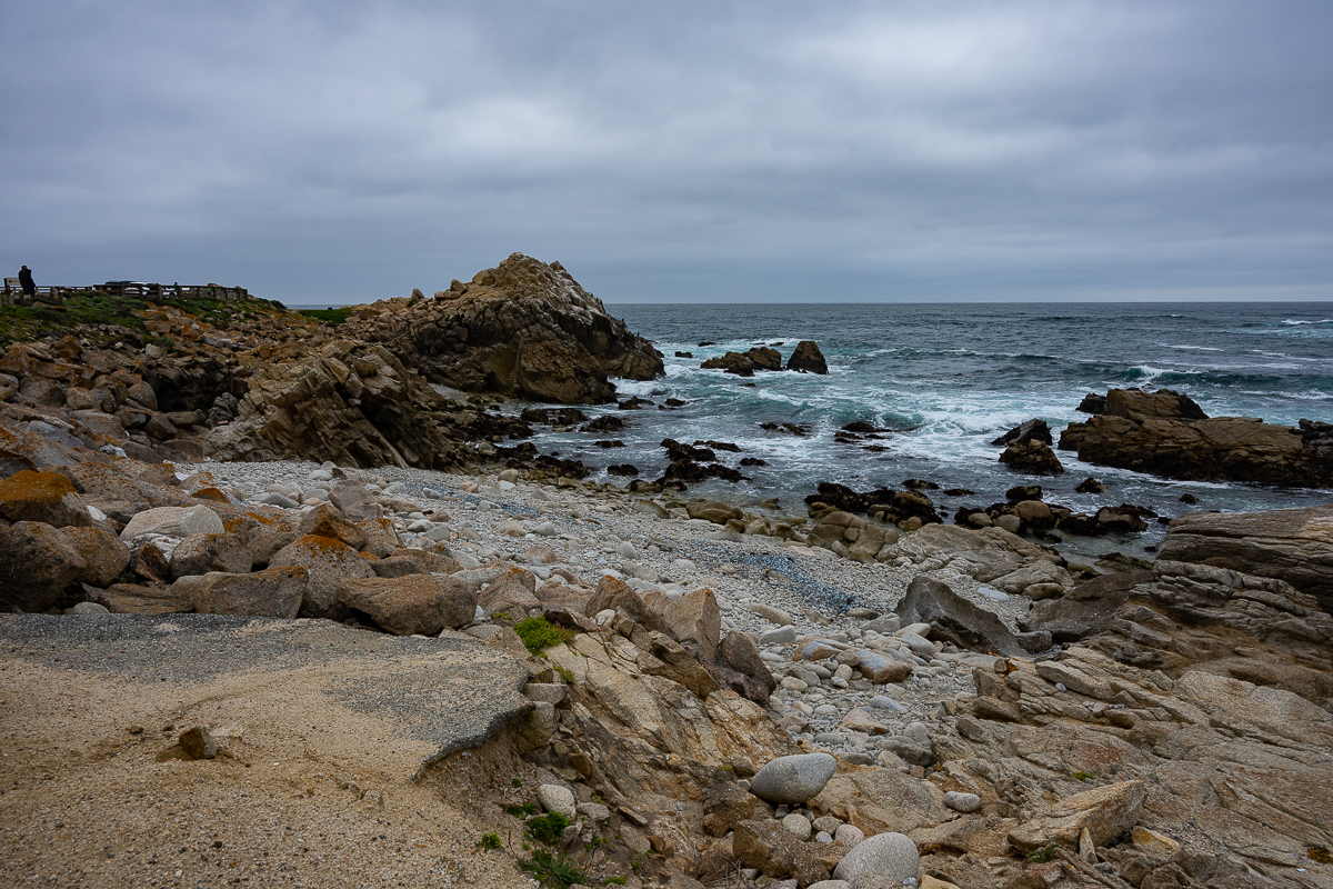 DSC_4755.jpg