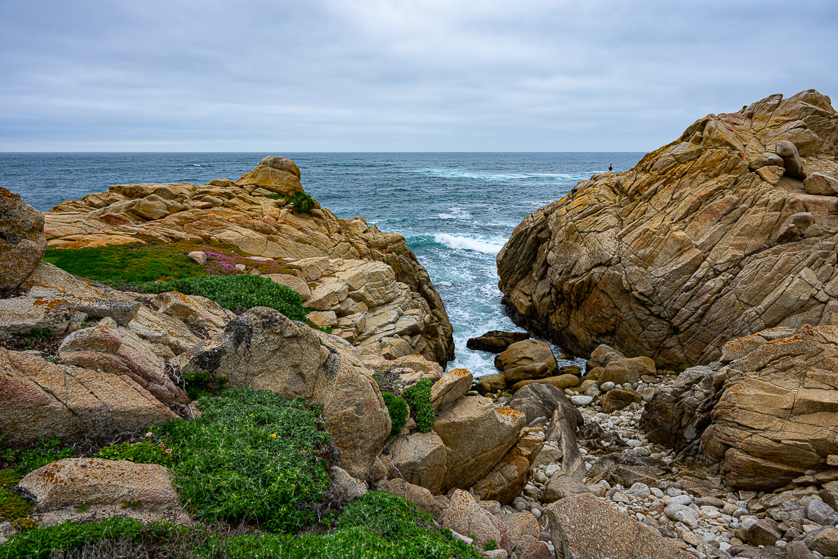 DSC_4760.jpg