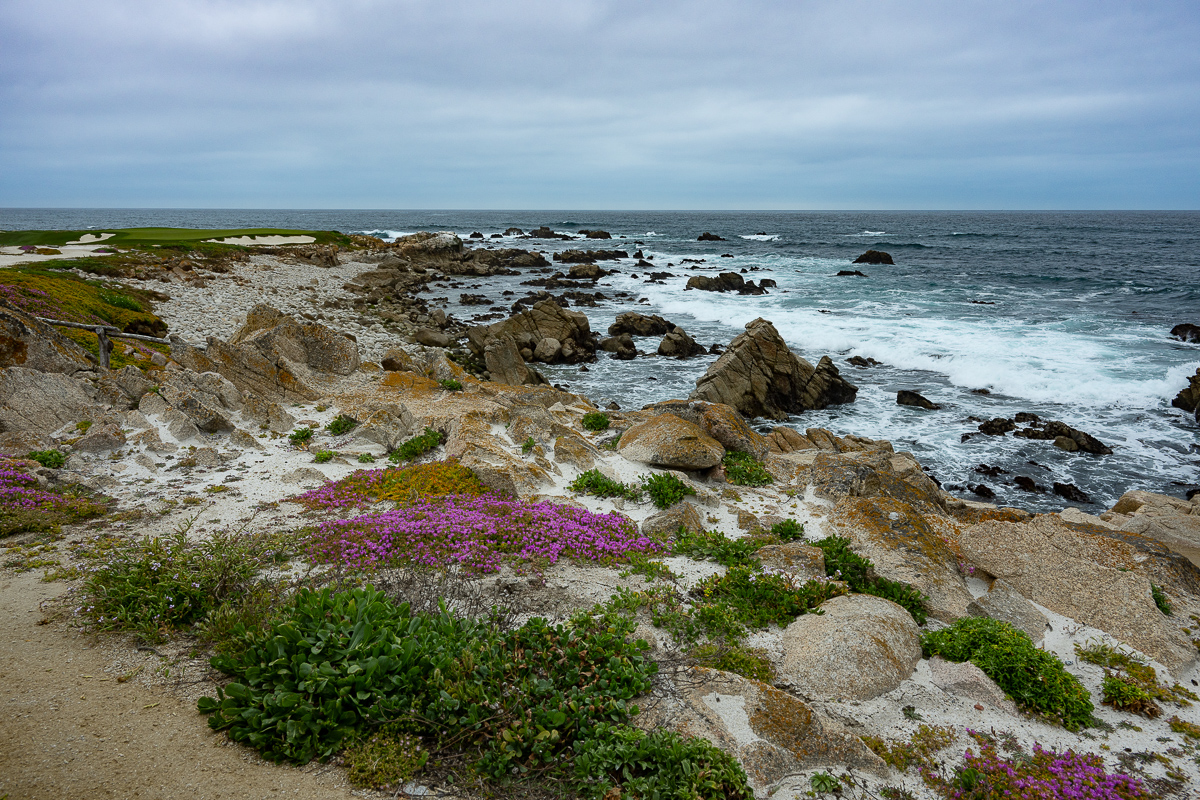 DSC_4765.jpg