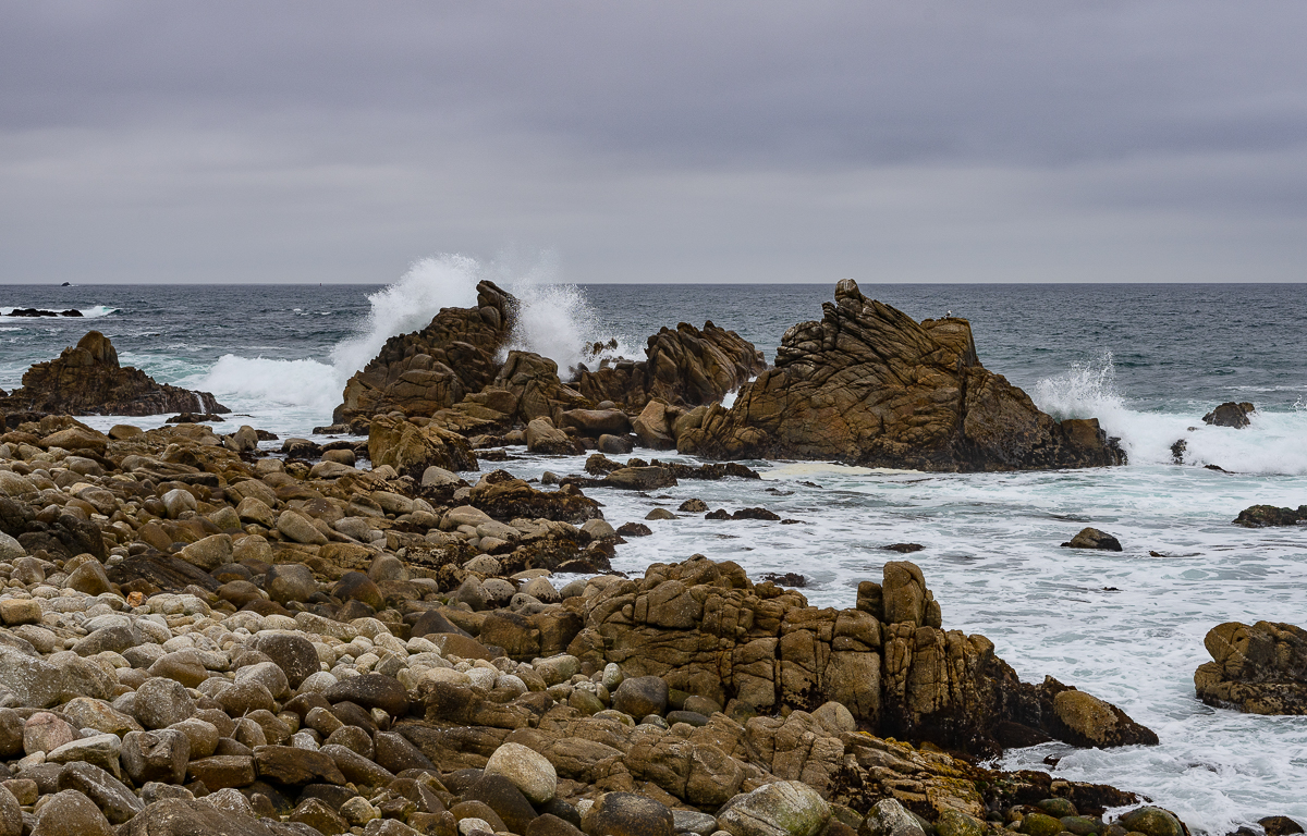DSC_4776.jpg